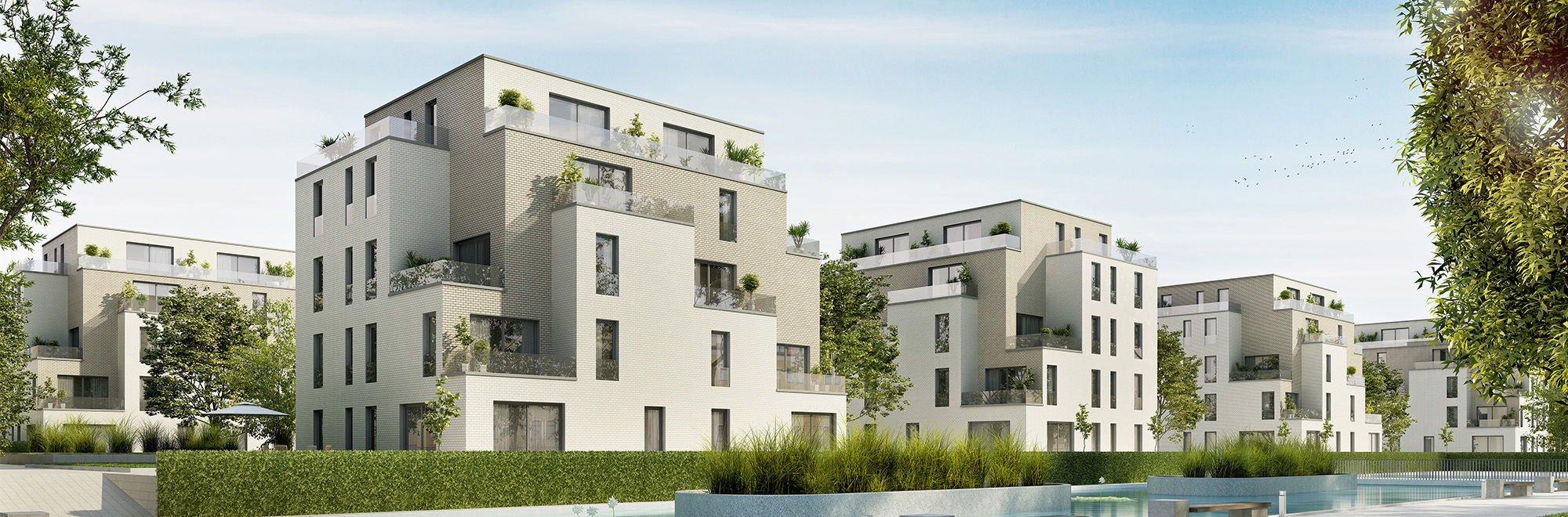 NG Immobilier