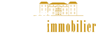 NG Immobilier