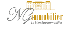 NG Immobilier