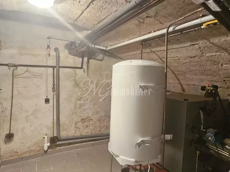 Magnifique maison de 295 m² avec terrasse, cour, et garage sur un