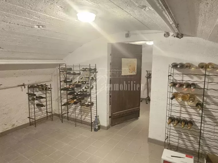 Magnifique maison de 295 m² avec terrasse, cour, et garage sur un