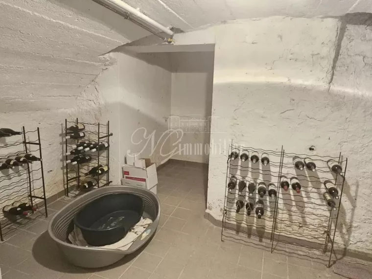 Magnifique maison de 295 m² avec terrasse, cour, et garage sur un