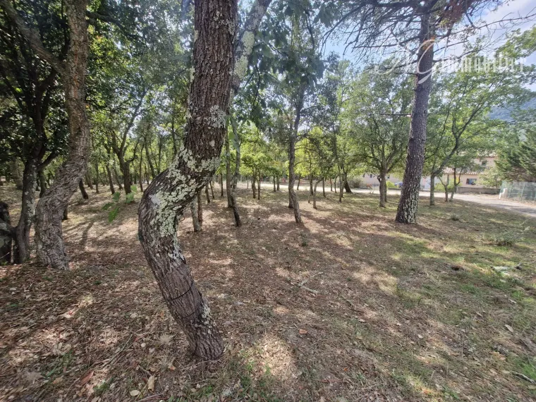 Maison de campagne avec bois de chênes