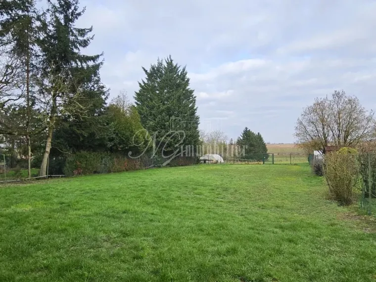 Magnifique maison de 295 m² avec terrasse, cour, et garage sur un terrain de 31.95 ares à Servigny-les-sainte-barbe (F-57)