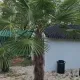 Bungalow au lac vert