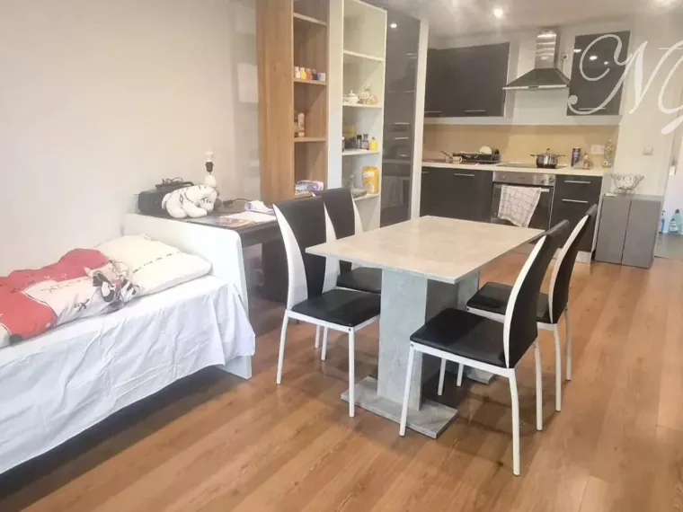 Lot de deux appartements à vendre à Dudelgange (LU)
