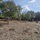 Maison de campagne avec bois de chênes